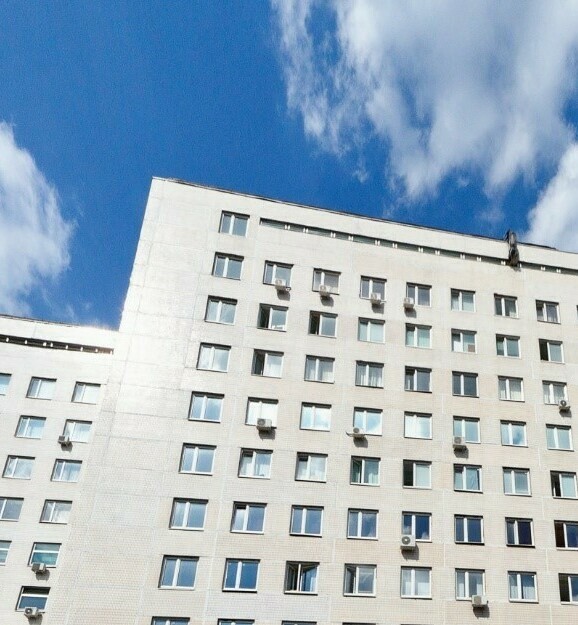 Описание изображения